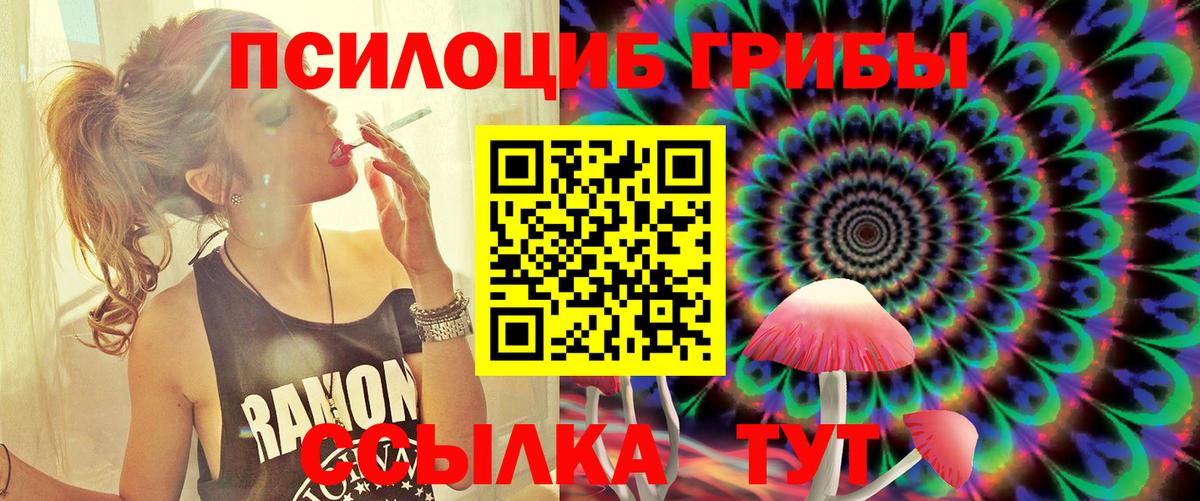Галлюциногенные грибы Cubensis Кольчугино