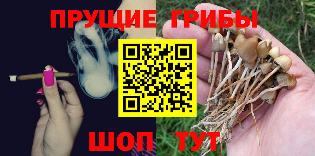 Кольчугино  Галлюциногенные грибы ЛСД  Вход с VPN 
